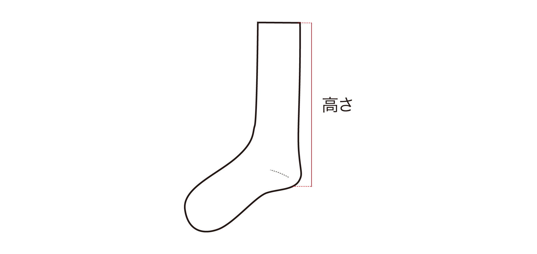 サイズガイドの画像